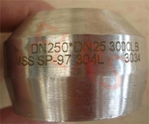 Kelengkapan Pipa Sockolet Stainless Steel Ditempa MSS SP97 Diperkuat Secara Integral 3000LB