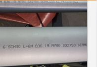 Pipa Stainless Steel Duplex SCH10 ASTM A790 12m Seamless